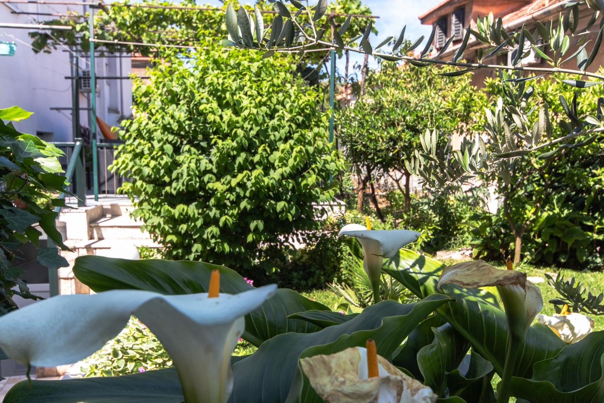 Marjan Hill 3-Br Apt,5 Guests Private Garden Near Beach Сплит Экстерьер фото